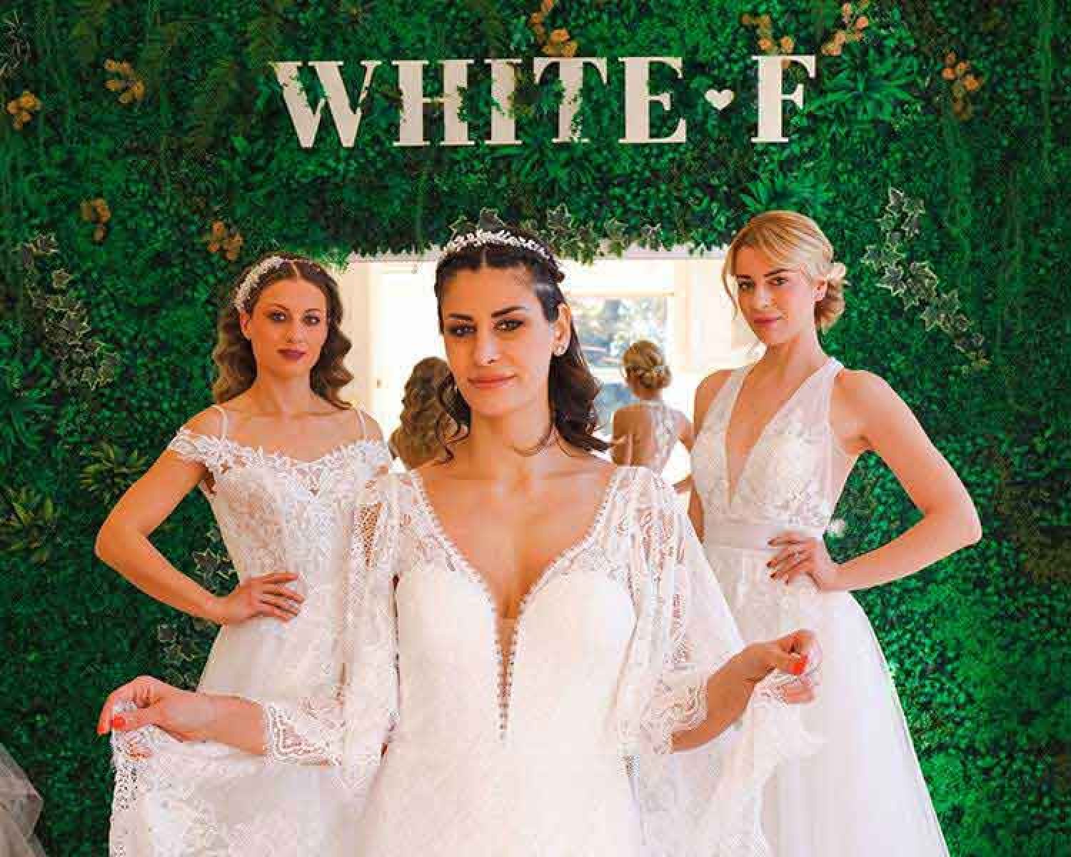 Studio grafico Frosinone: Atelier White F | Advok Studio